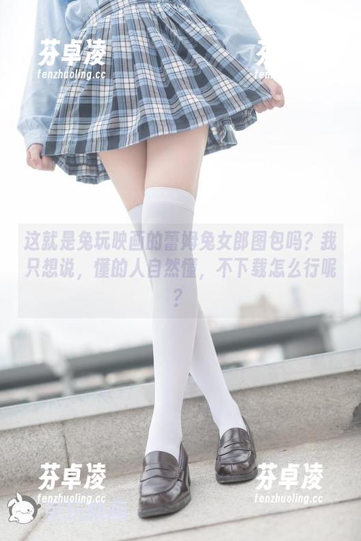 兔玩映画 这就是兔玩映画的蕾姆兔女郎图包吗?我只想说,懂的人自然懂,不下载怎么行呢?
