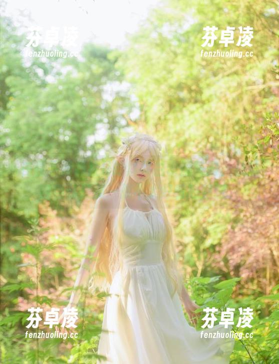 在在下萝莉控ii的紫罗兰永恒花园，总觉得自己是那一张不太好看的壁纸。